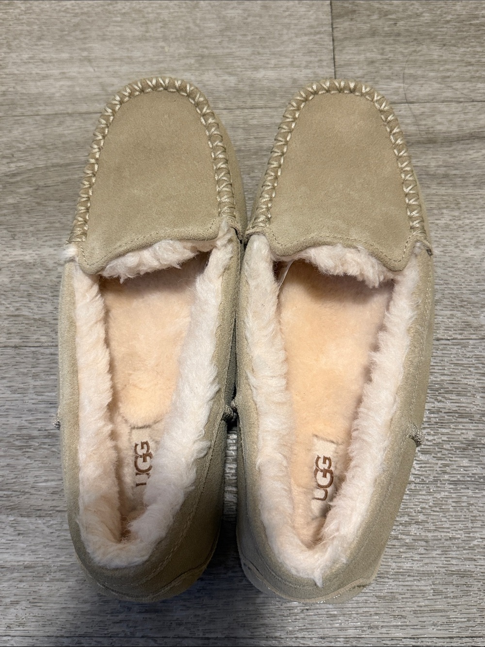 Brand new UGG Slipper